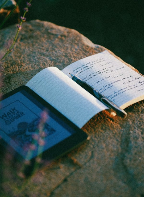 Notebook, pen, e-reader on rock among lavender